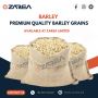Barley Grains | Zarea Limited