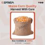  Maize (Corn) Available at Zarea Limited