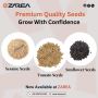 Quality Seeds Available on Zarea Limited
