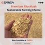 Rice Husk | Available at Zarea Limited