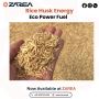 Rice Husk Available at Zarea Limited |