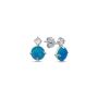 Exclusive Sterling Silver Earrings Online at  Zehrai 