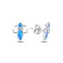Exclusive Sterling Silver Earrings Online | Zehrai