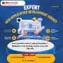 Web Application Development Agency in Bangalore